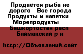 Продаётся рыба не дорого - Все города Продукты и напитки » Морепродукты   . Башкортостан респ.,Баймакский р-н